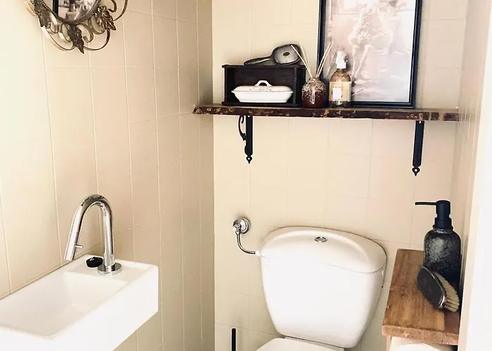 Hartje Zurrik - Knus In Bosrijke Omgeving