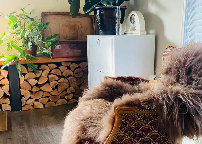 Hartje Zurrik - Knus In Bosrijke Omgeving Appartement