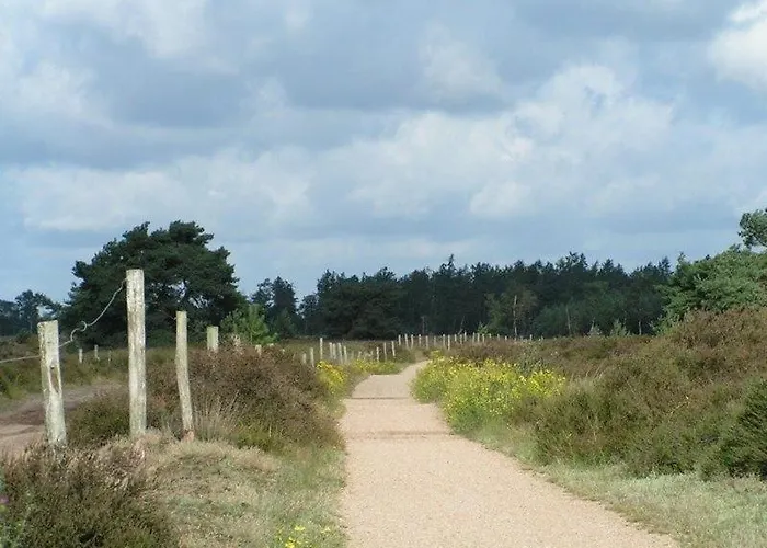 Hartje Zurrik - Knus In Bosrijke Omgeving Διαμέρισμα