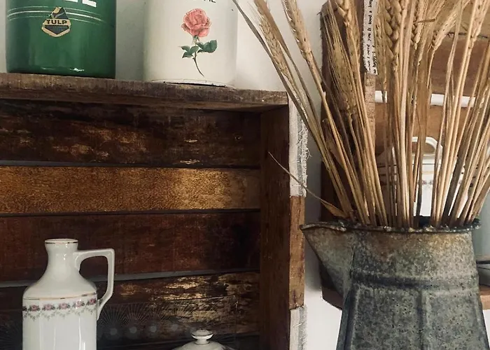 Hartje Zurrik - Knus In Bosrijke Omgeving Διαμέρισμα *