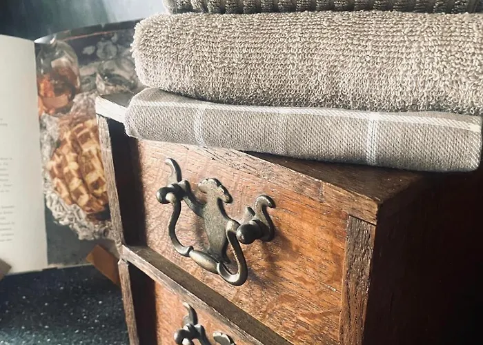 Hartje Zurrik - Knus In Bosrijke Omgeving Διαμέρισμα Soerendonk